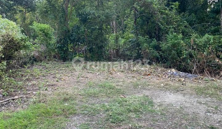 Tanah Jual Lokasi Nusa Dua