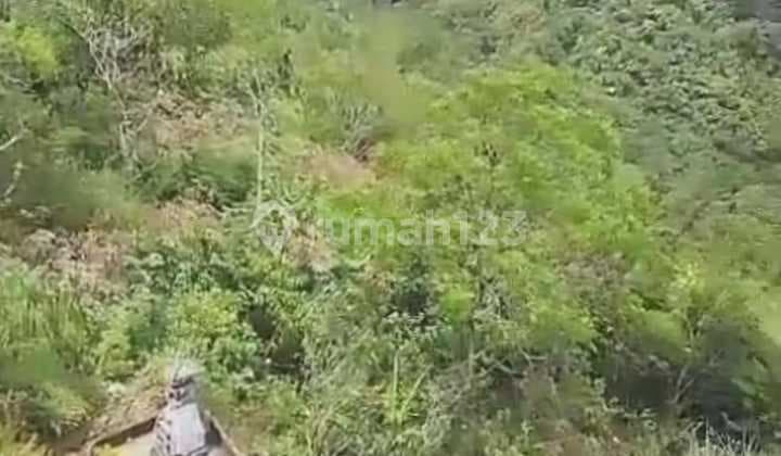 Tanah Jual Lokasi Kintamani