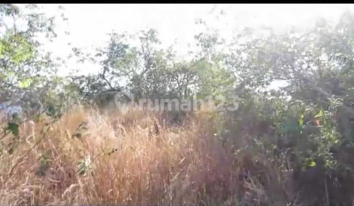 Tanah Jual Lokasi Amed