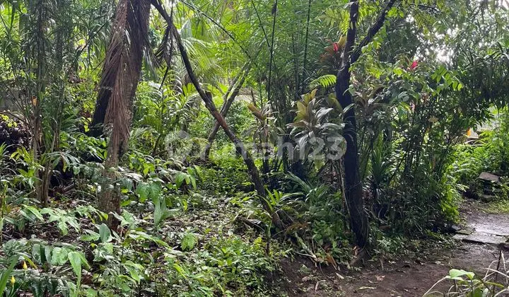 Tanah Jual Lokasi Batu Bulan