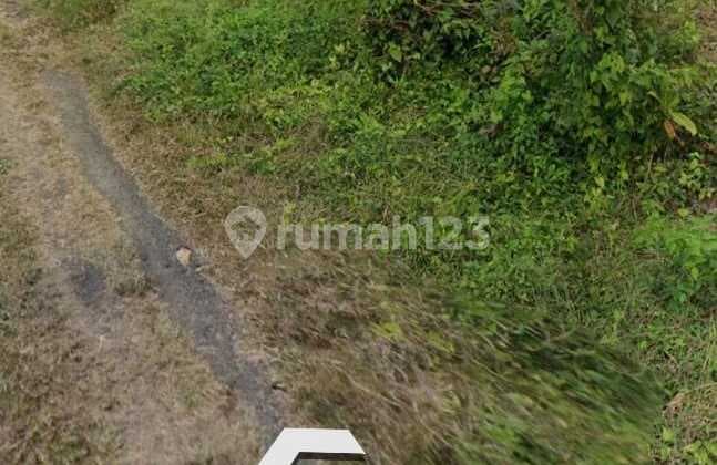 Land for Sale in Sekar Sari Location