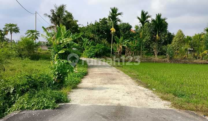Land for Sale Location Kemenuh