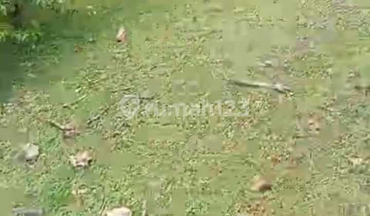 Tanah Jual Lokasi Ungasan