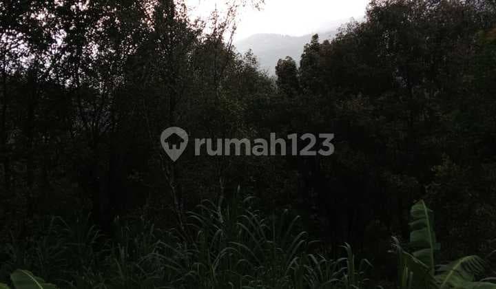 Tanah Jual Lokasi Munduk