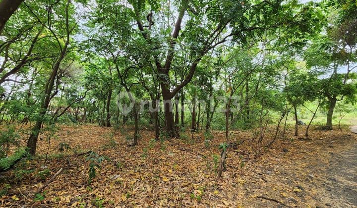 Tanah Jual Lokasi Tulamben