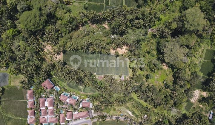 Tanah Jual Lokasi Tegallalang