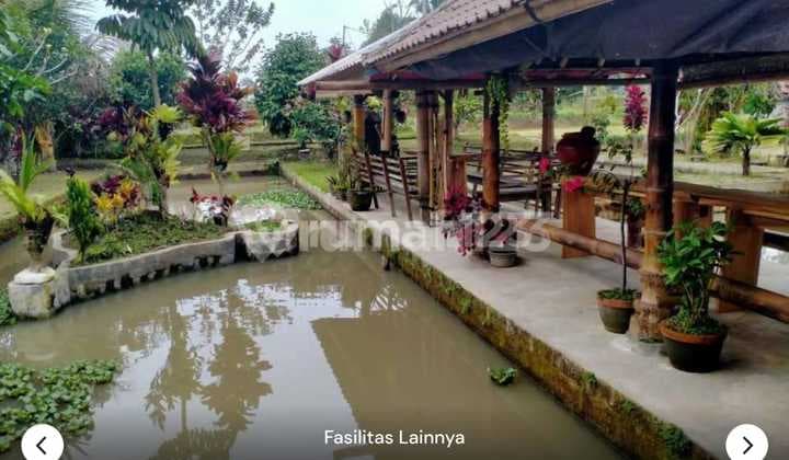 Tanah Jual Lokasi Jatiluwih