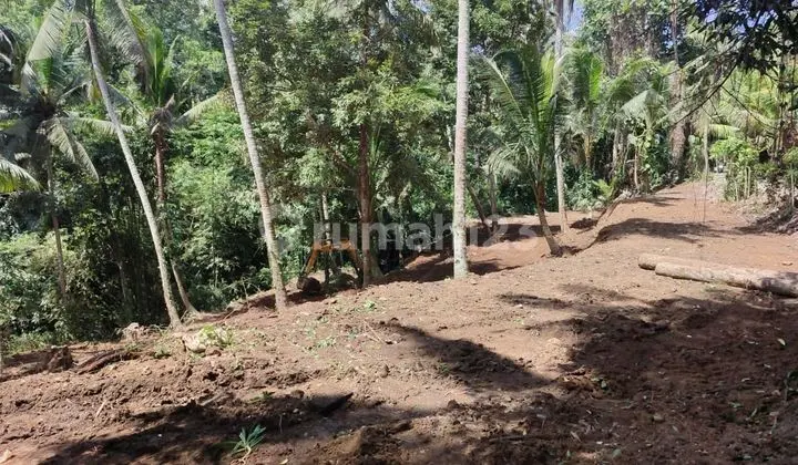 Land for Sale at Sayan Location