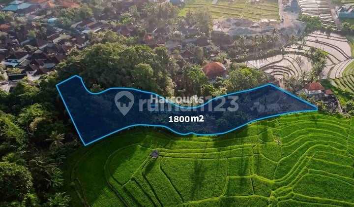 Lahan Dikelilingi View Jalur Hijau – Tumbak Bayuh