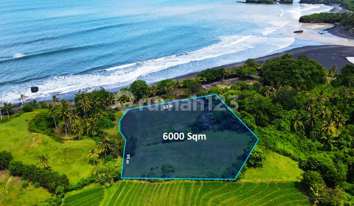 Extensive Beachfront Land with Views of the Sea, Rice Fields, and Mountains in Tabanan