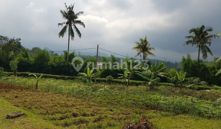 Tanah Lahan Siap Garap Subang Cisaat Jawa Barat