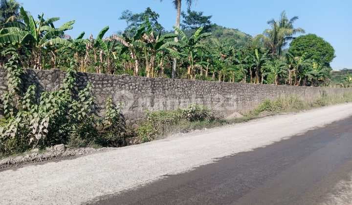 Land Already Fenced in Rumpin, Suitable for Housing, Building, Factory