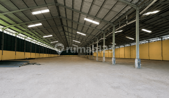For Rent: Industrial Warehouse, Area 5,980 Square Meters