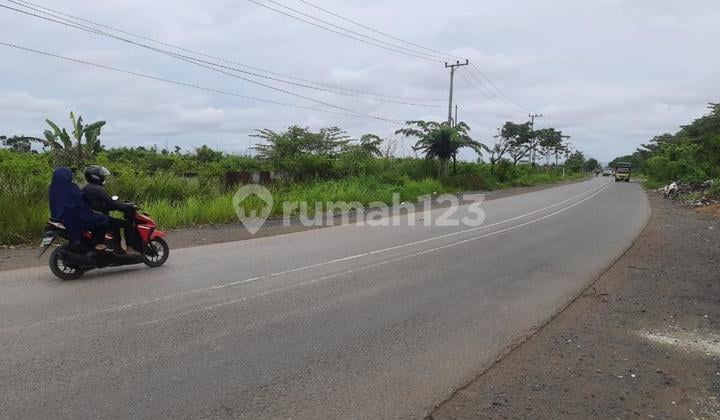 Dijual Tanah Strategis - Tanjung Pagar Tanjung Pagar, Kota Banjarmasi, Kalimantan Selatan ±5 Menit Dari Flyover Ahmad Yani Menuju Arah Pelabuhan Trisakti.
