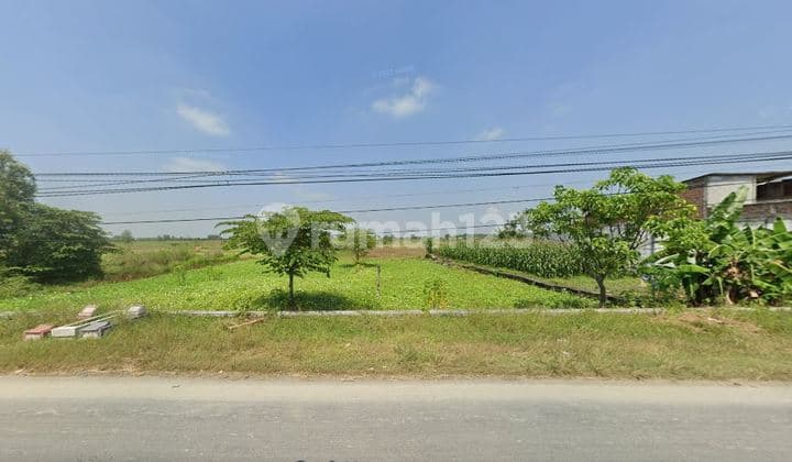 Dijual Tanah SHM di Nol Jalan Raya Balongpanggang - Mantup, Gresik, Cocok untuk Komersil atau Usaha Lainnya