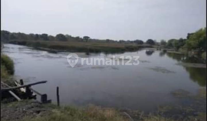 Dijual Tambak Udang Vaname Dan Bandeng di Bangil, Pasuruan