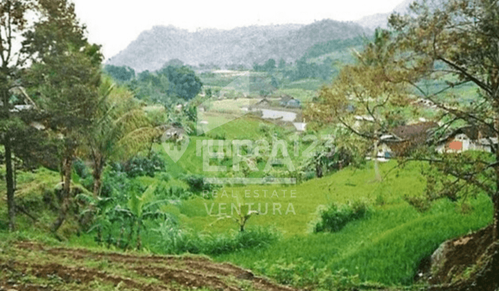 Dijual Lahan Tanah Dengan View Ciamik di Trawas Mojokerto