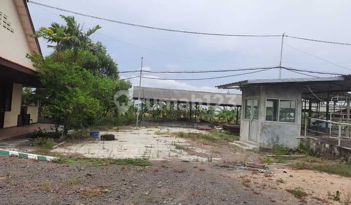 Dijual Tanah Kandang/Ternak Sapi di Desa Windurejo, Kutorejo, Mojokerto