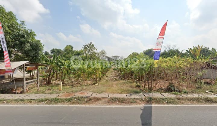 Land for Sale on Jalan Pendidikan, Gresik Regency, near Ujungpangkah Police Station, SMP Mamba'ul Ihsan, and Roudlotul Jannah Mosque.