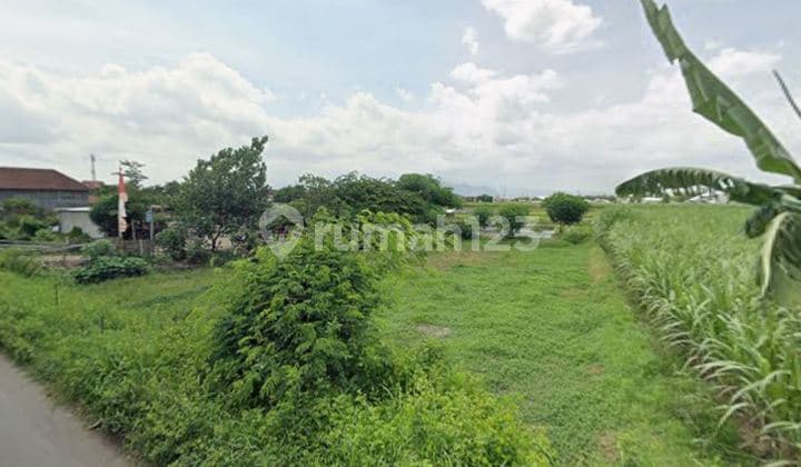 Dijual Tanah Nol Jalan Erlangga, Katang, Sukorejo, Kec. Ngasem Kediri Dekat Jl. Raya Kediri - Pare, Plosoklaten, Stadion Brawijaya, Kediri Mall, Pt Gudang Garam, Kediri Town Square