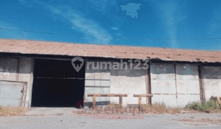 DISEWAKAN 3 GUDANG DI JALAN IBRAHIM ZAHIER GRESIK Dekat dengan Pelabuhan Gresik, Stasiun Indro, Kawasan Wilmar, Kawasan Semen Gresik, Pintu Tol Romokalisari