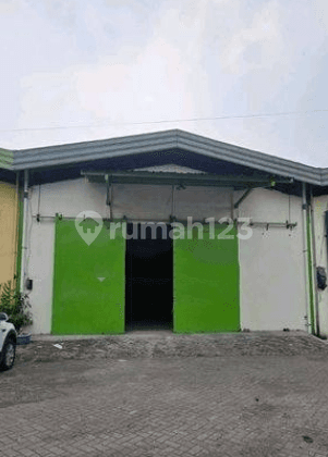 Gudang Baru renov Margomulyo Permai Surabaya Siap Pakai Sudah SHM