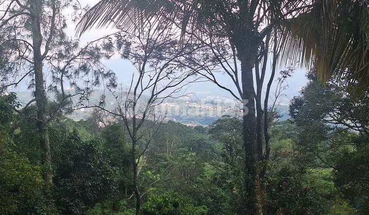 Dijual Tanah di Pasir Angin Gunung Geuli Sukaraja Kab Bogor