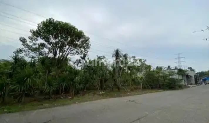 Tanah Dijual Murah di Citayam Tajurhalang Bogor