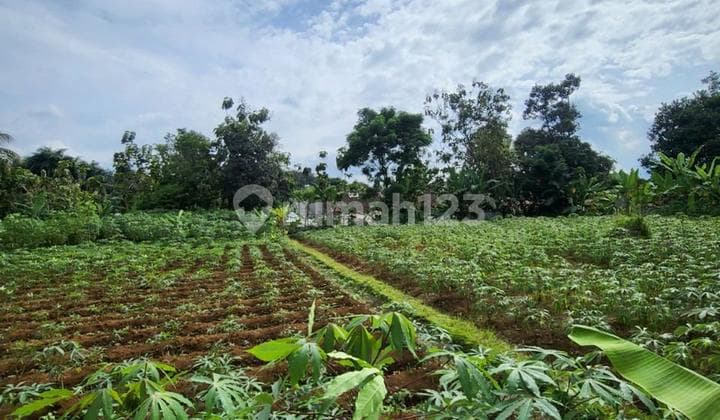 Dijual Tanah Harga Dibawah NJOP di Rancamaya Kota Bogor