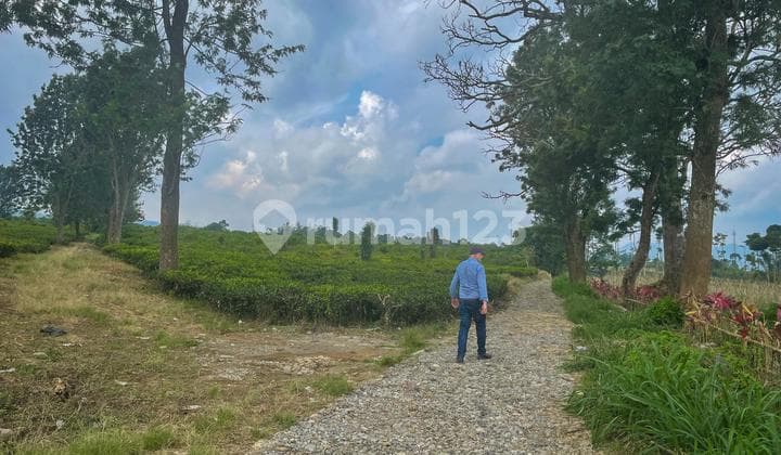 TANAH DIJUAL LUAS 40 HEKTAR DI SUKABUMI JAWA BARAT