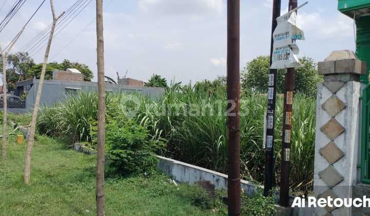 JUAL CEPAT BUTUH CEPAT LAKU TANAH DI RAYA PAPAR - KEDIRI