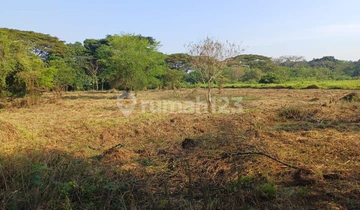 Tanah Kavling Strategis di Jababeka Residence
