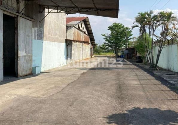 Pabrik Produksi Kain Batik Pekalongan