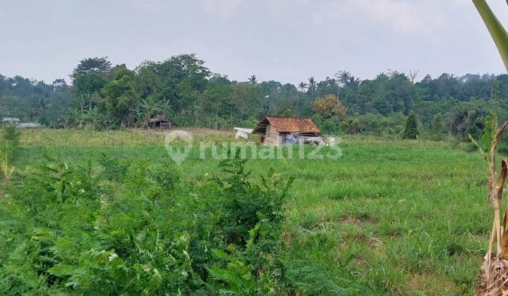 Tanah padat, cocok untuk perumahan, villa, atau kebun