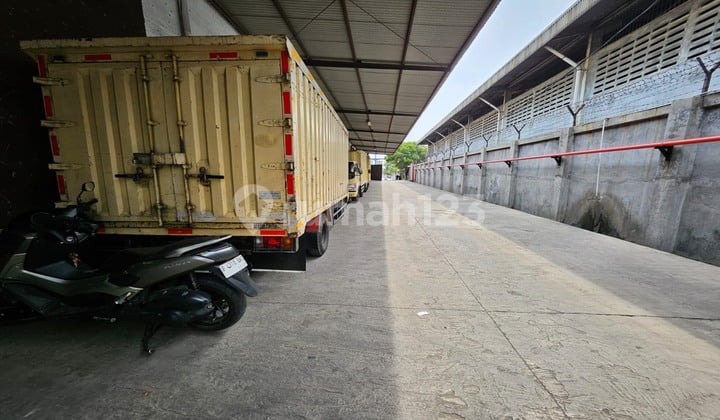 Gudang Di Peternakan Ready Siap Pakai
