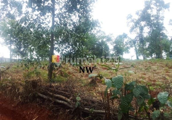 Kavling di Ds Wringingintung Batang Jawa Tengah