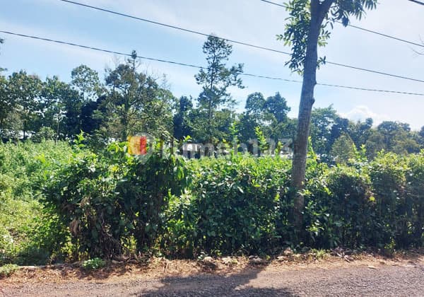 Kavling di Wonoplumbon Mijen Semarang