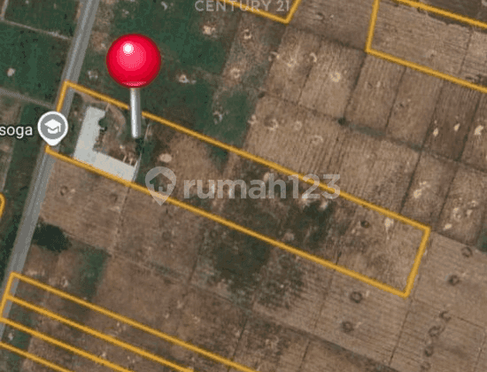 Tanah Kios Pabrik Kayu Utan Soga Sukakerta Sukawangi Bekasi