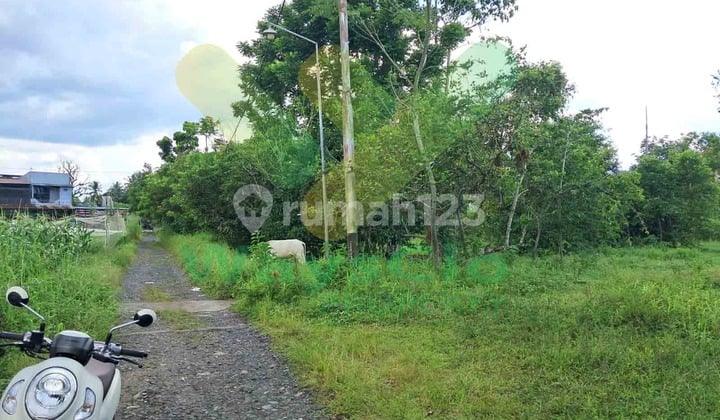 Dijual Cepat Tanah Cantik Dan Menarik Daerah Mapanget, Harga Sangat Murah