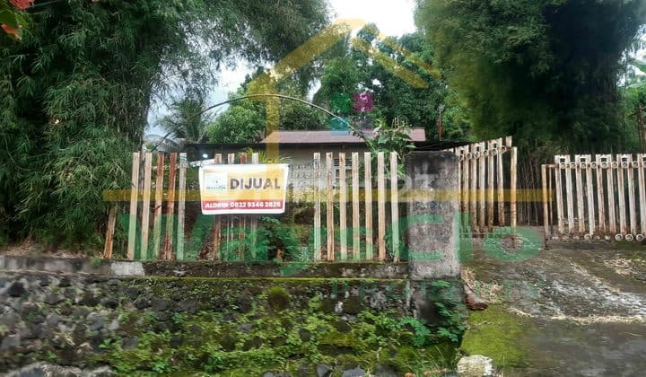 DIJUAL CEPAT TANAH LUAS DENGAN RUMAH DAERAH TELING, HARGA SANGAT MURAH