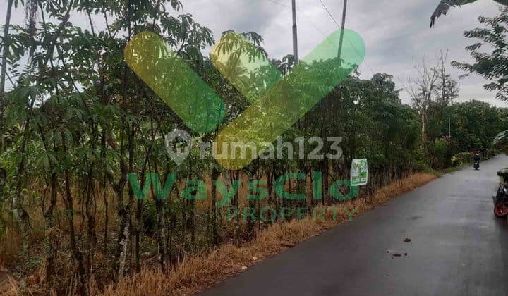 Dijual Cepat Tanah Cantik Daerah Koka Mapanget, Harga di Bawah Pasaran