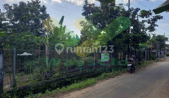 For Quick Sale Beautiful And Attractive Land In Perkamil Area, Very Cheap Price
