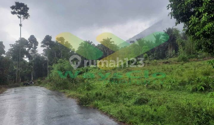 DIJUAL CEPAT TANAH CANTIK DAN MENARIK DAERAH TOMOHON, HARGA SANGAT MURAH