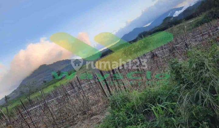 DIJUAL CEPAT TANAH CANTIK DAN MENARIK DAERAH TOMOHON, HARGA SANGAT MURAH