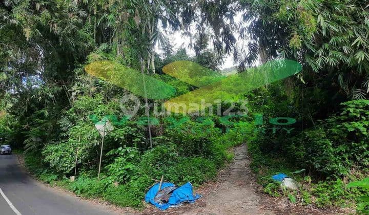 DIJUAL CEPAT TANAH STRATEGIS DENGAN MATA AIR DAERAH TOMOHON, HARGA SANGAT MURAH