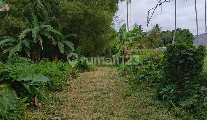 Dijual Cepat Tanah Cantik dan Menarik Daerah Konsolidasi Mapanget, Harga Sangat Murah