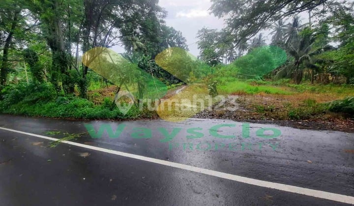 Dijual Cepat Tanah Sangat Murah Daerah Sea, Harga di Bawah Pasaran
