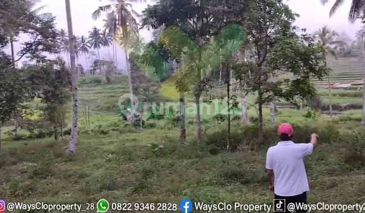 Quick Sale Cheap Farmland in Tomohon Area, Below Market Price