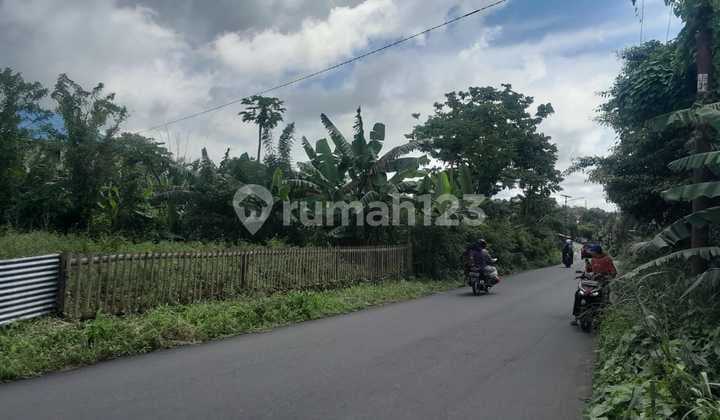 For Quick Sale Beautiful and Attractive Land in Tondano Area, Very Cheap Price