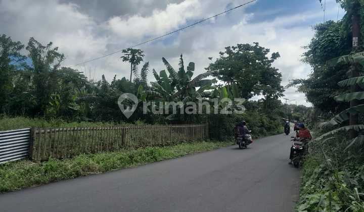 Dijual Cepat Tanah Cantik dan Menarik Daerah Tondano, Harga Sangat Murah